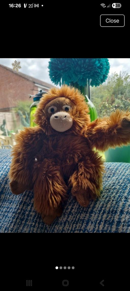  — Monkey world orangutan £5