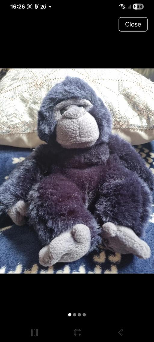  — Gorilla £6