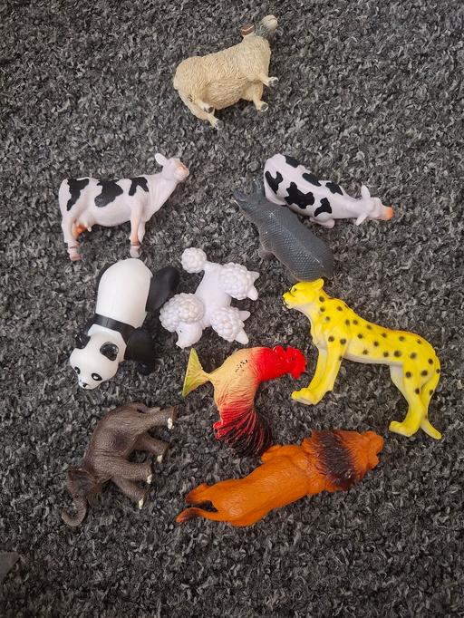  — Kids animals