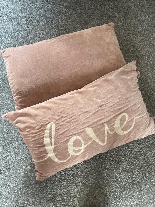  — 2 plush pink rectangle cushions
