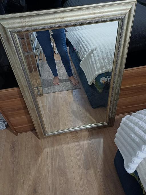  — mirror