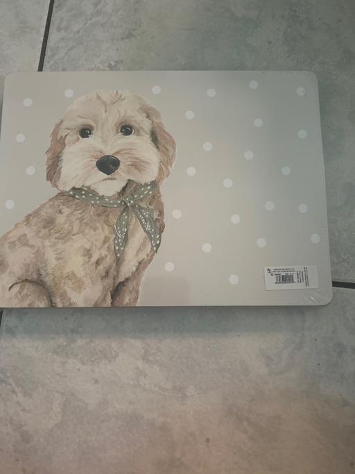  — New! Set of 4 placemats