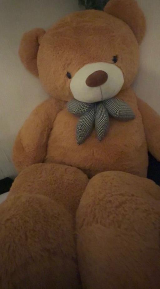  — Teddy bear human size