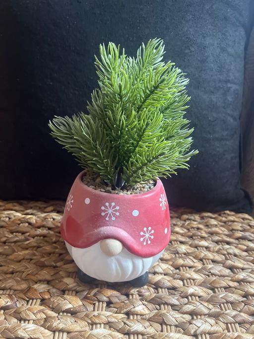  — Artificial plant in gonk pot