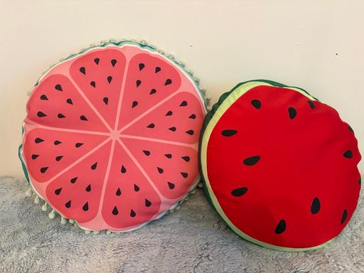  — Watermelon Fruit Cushions