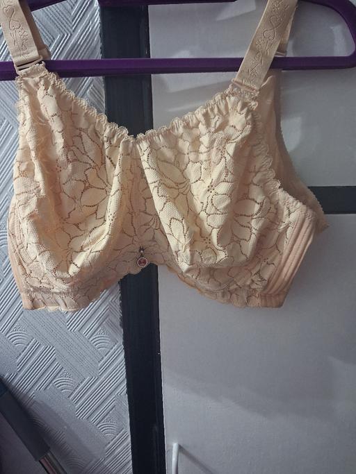  — ladies Bras