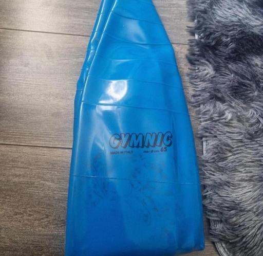  — Blue Gymnic Exercise Ball