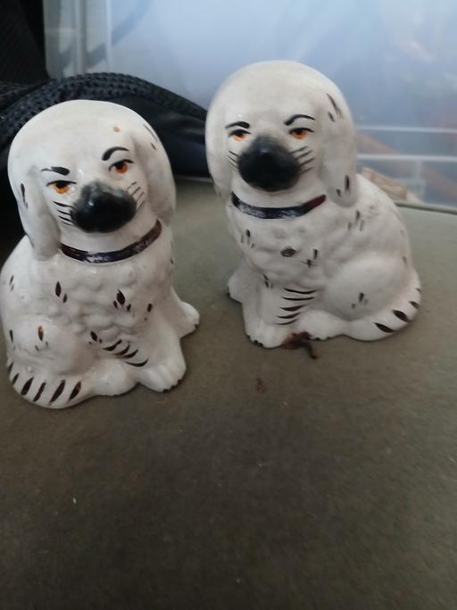  — retro very old small dogs