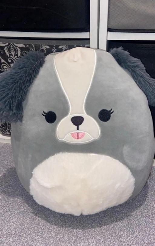  — New Squishmallow