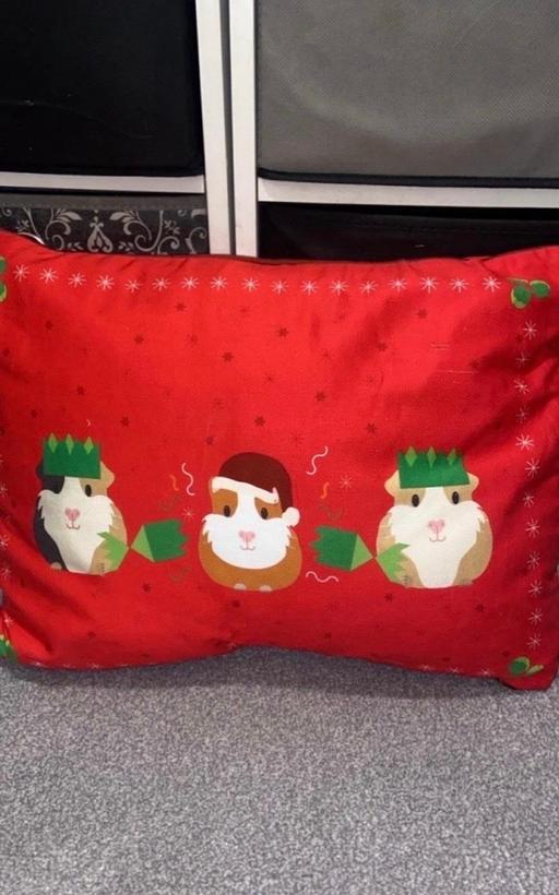  — Cushion