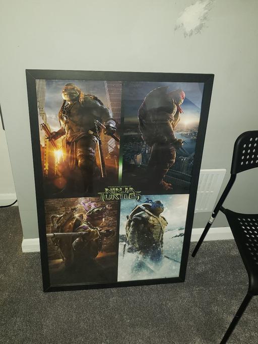  — Large framed Teenage Mutant Ninja Turtles (TM