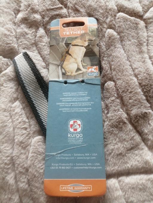  — New seatbelt tether