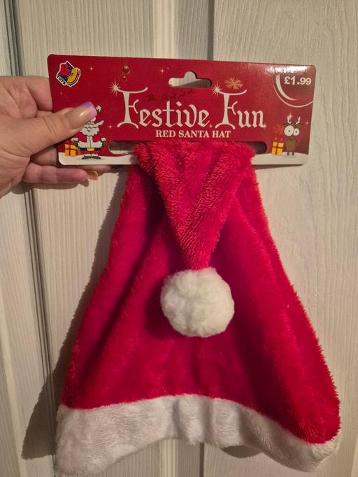  — new Xmas Hat