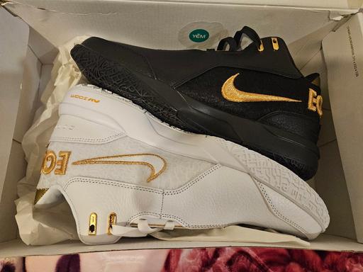  — Nike Zoom LeBron NXXT Gen AMPD EP Equity Men
