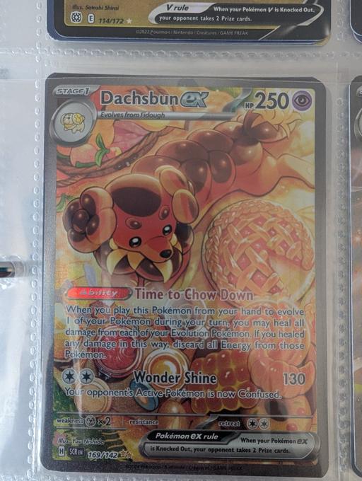  — Dachsbun ex full art