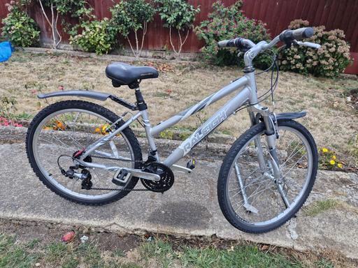  — LADIES RALEIGH BIKE BICYCLE
