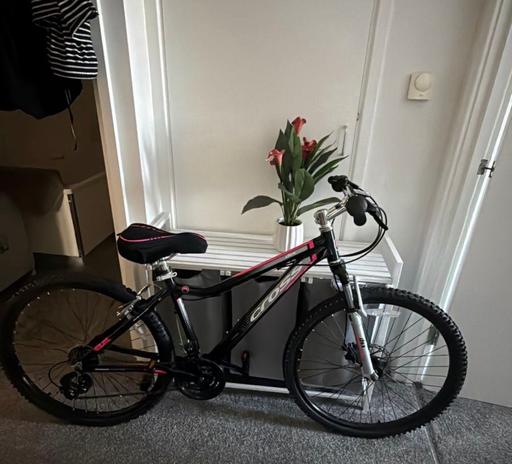  —  adult girl bike 