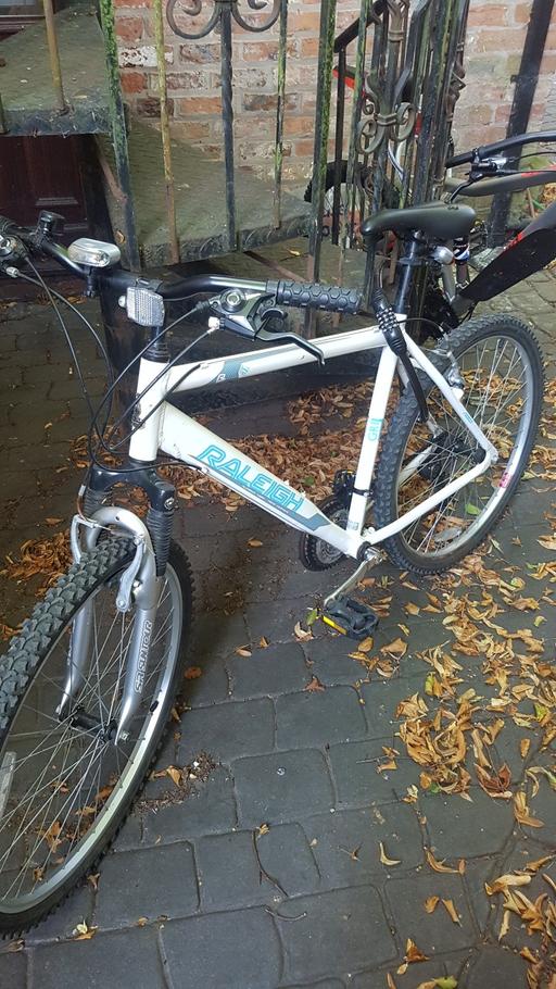  — Raleigh Men's Mountain Bike
