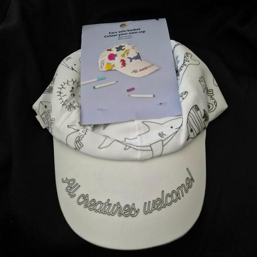  — Colour your own cap hat - kids coloring