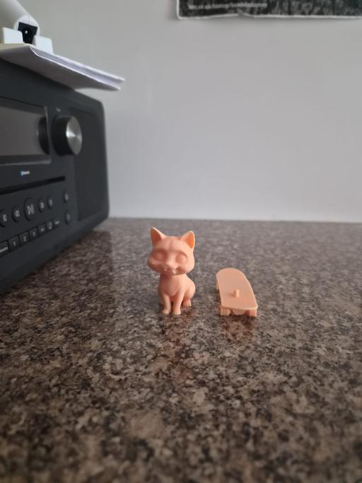  — 3d printed Cat Riding Skateboard