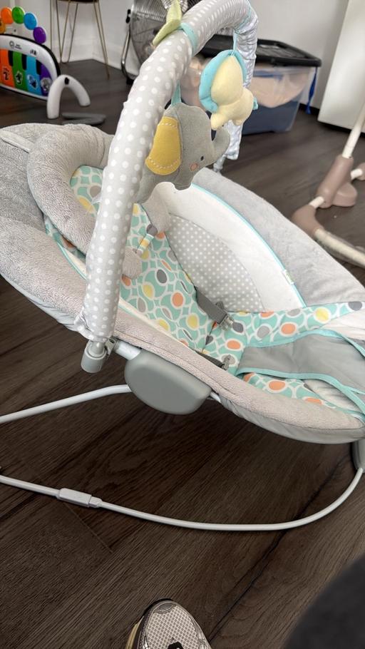  — Baby bouncer