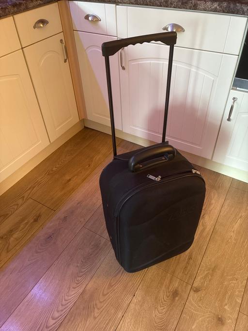  — Zebra Suitcase