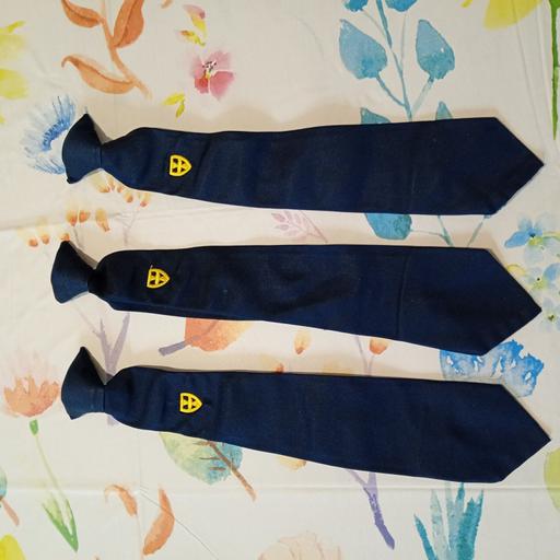  — St Thomas More School Ties