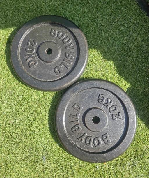  — 2x20kg cast iron weights