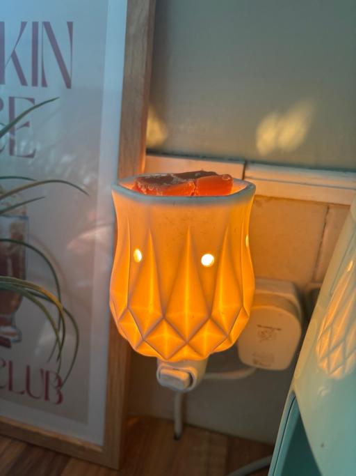  — Scentsy melt warmer light