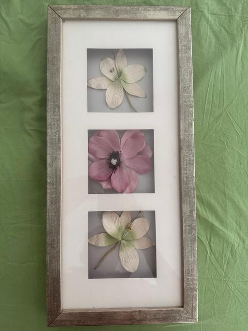  — Flower pictures (£2 or free, see description)