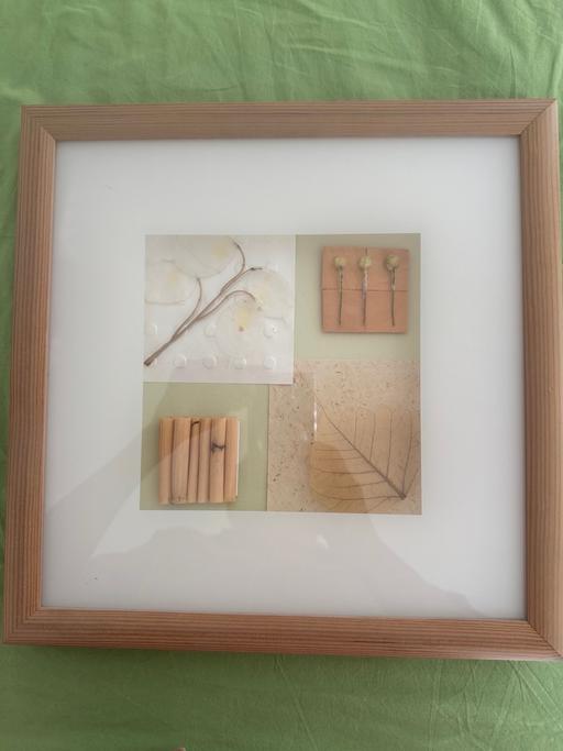  — Plants framed pic (£2 or free, see note)