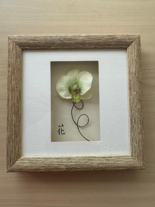  — Orchid pics by NEXT (£2 or free, see note)