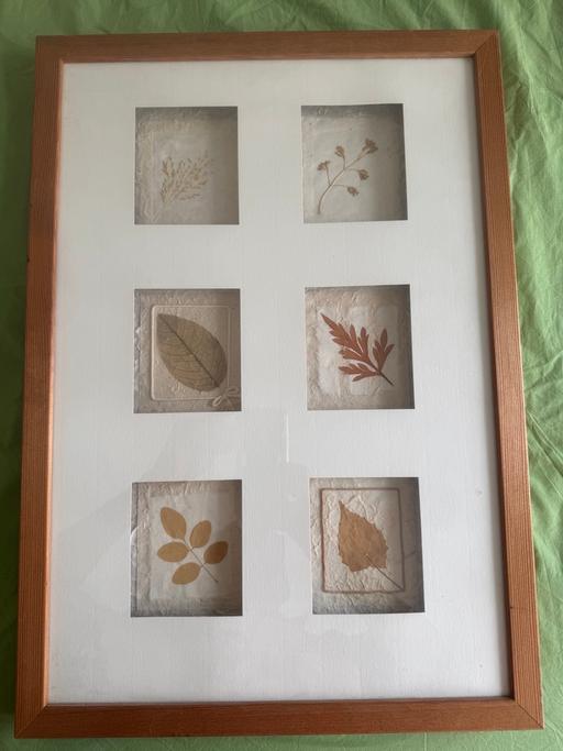  — Framed pic of leaves (£2 or free, see note)