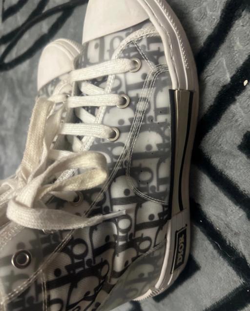  — Dior converse