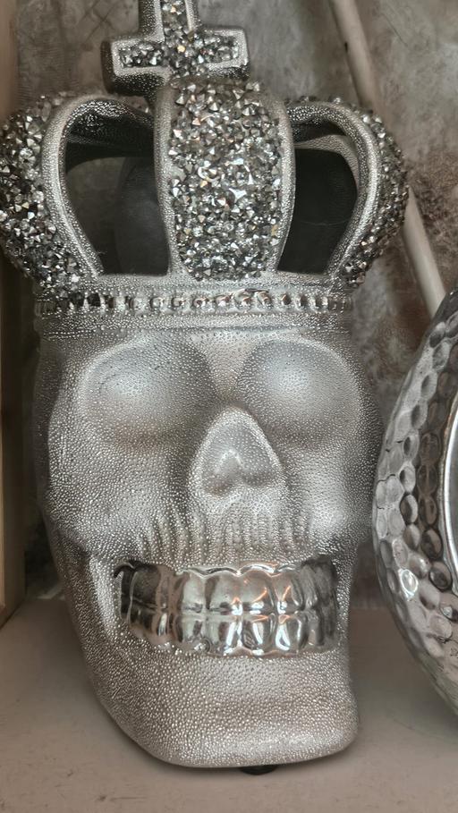  — skull