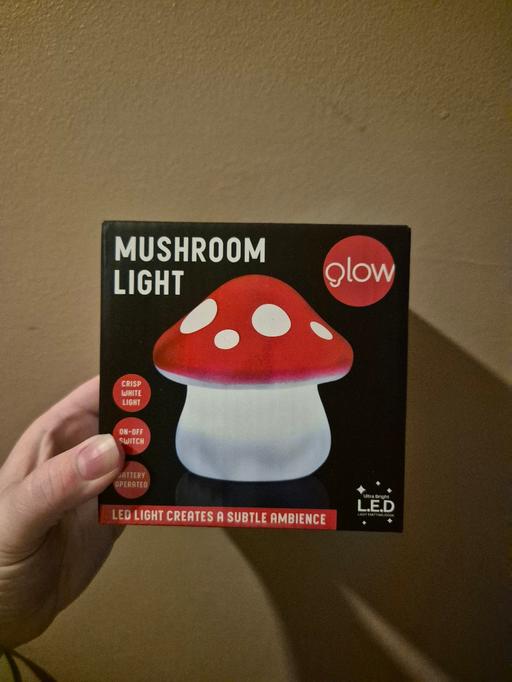  — new Mushroom Light