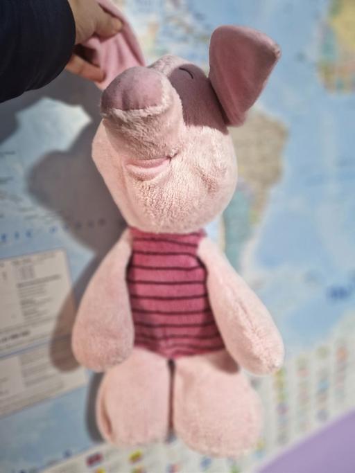  — Piglet teddy