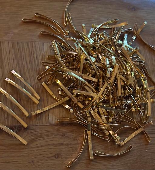  — 100 hair clips