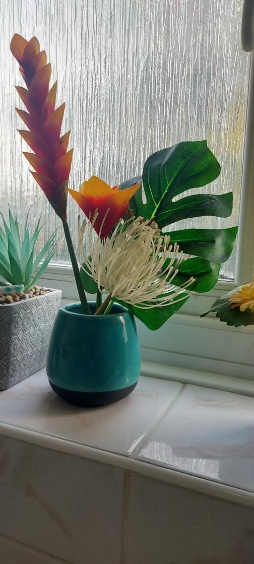  — plants