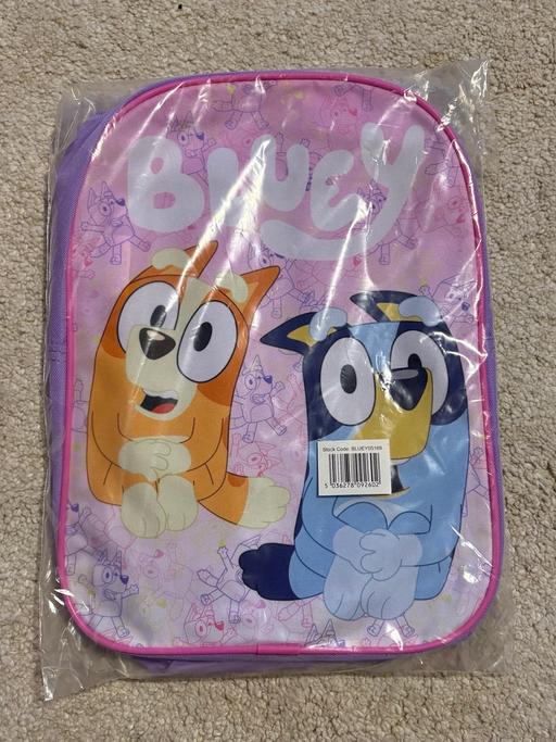  — Bluey bag