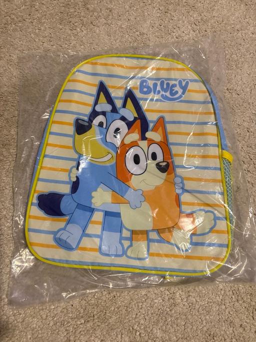  — Bluey bag