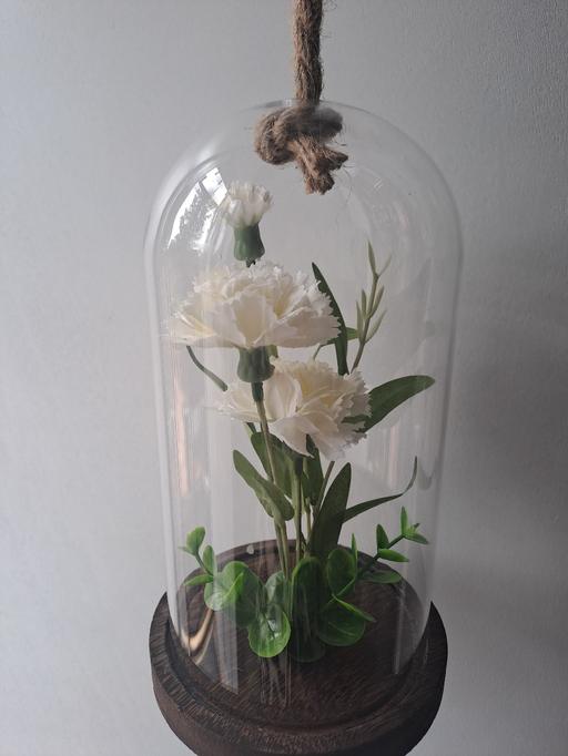  — artificial carnation plant in dome