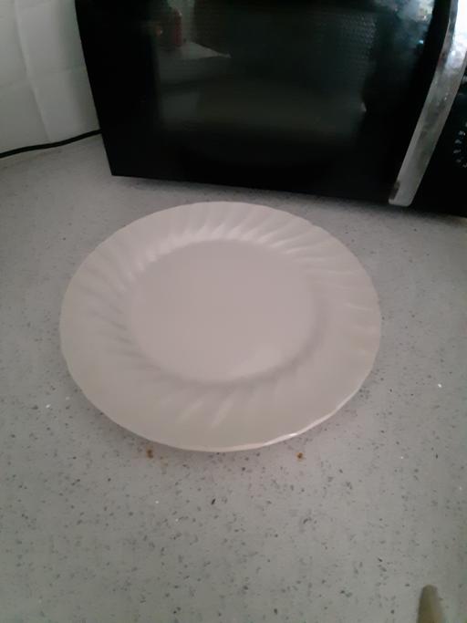  — plate