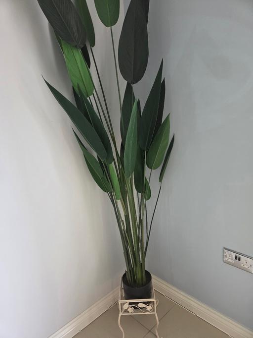  — Large Artificial Plant