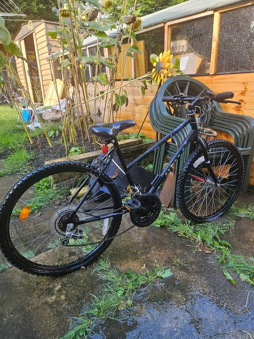  — huffy bike weathered