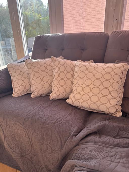  — 4 beige scatter cushions