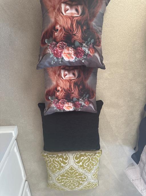  — cushions