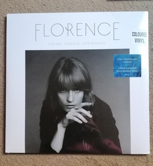  — Florence and the machine LP