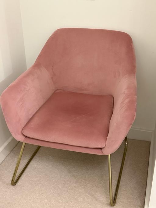  — Velvet chair still in the shop for £165