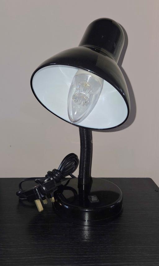  — flexible desk lamp